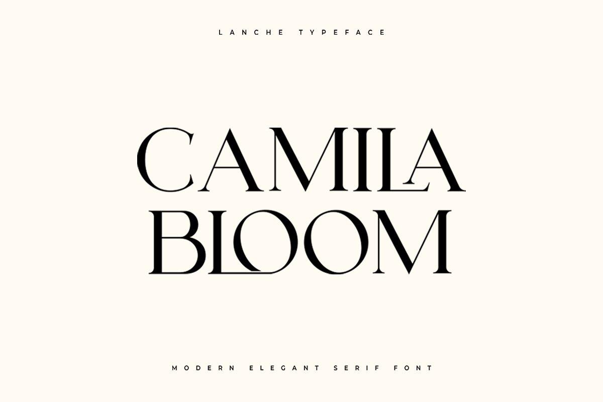 Lanche | Modern Elegant Serif Font — image 9