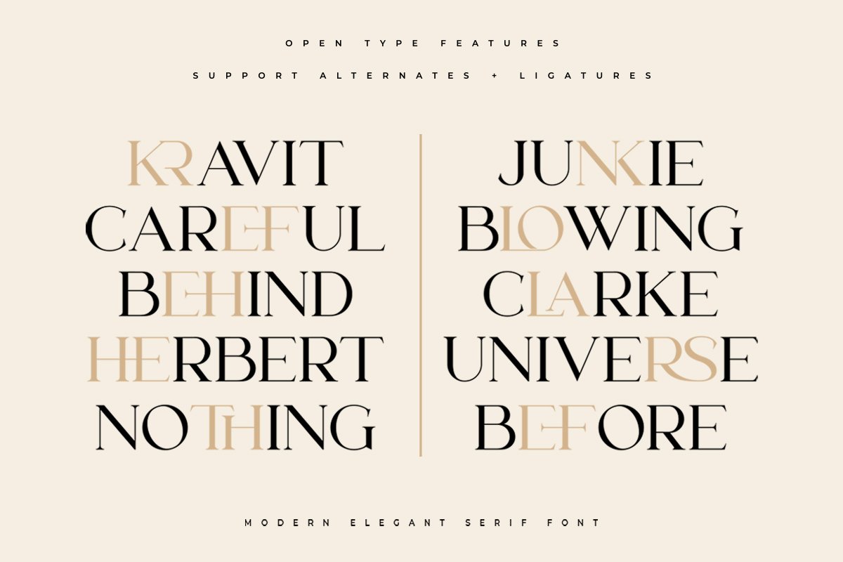 Lanche | Modern Elegant Serif Font — image 5