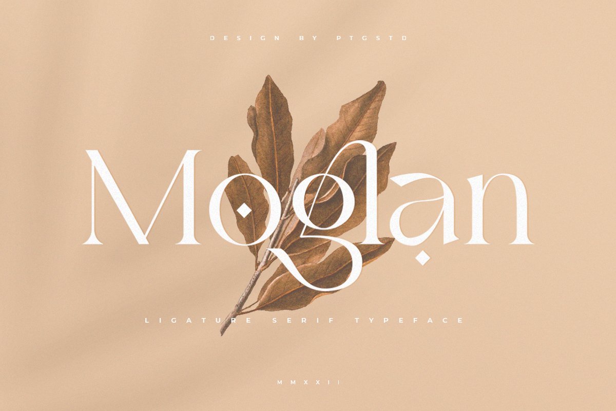 Moglan | Ligature Serif Typeface — image 10