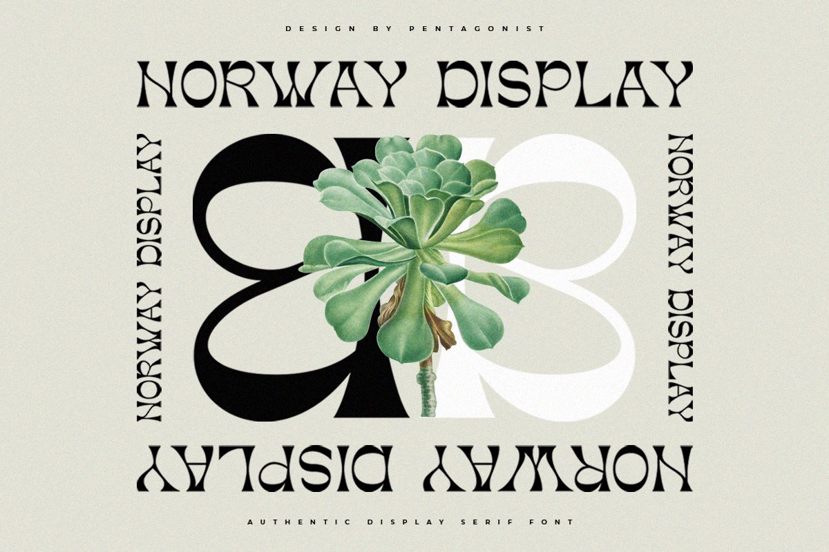 Norway | Authentic Display Typeface — image 8