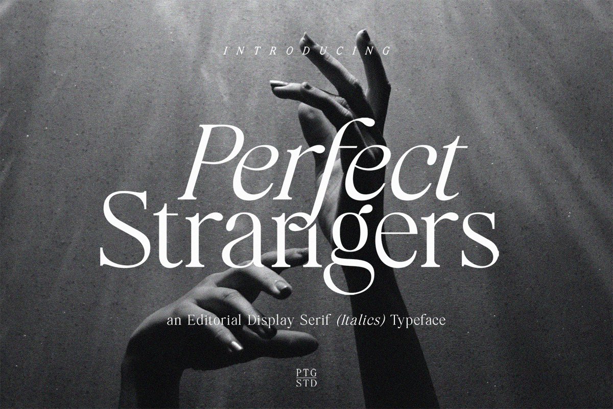 Perfect Strangers I Elegant Serif — image 13