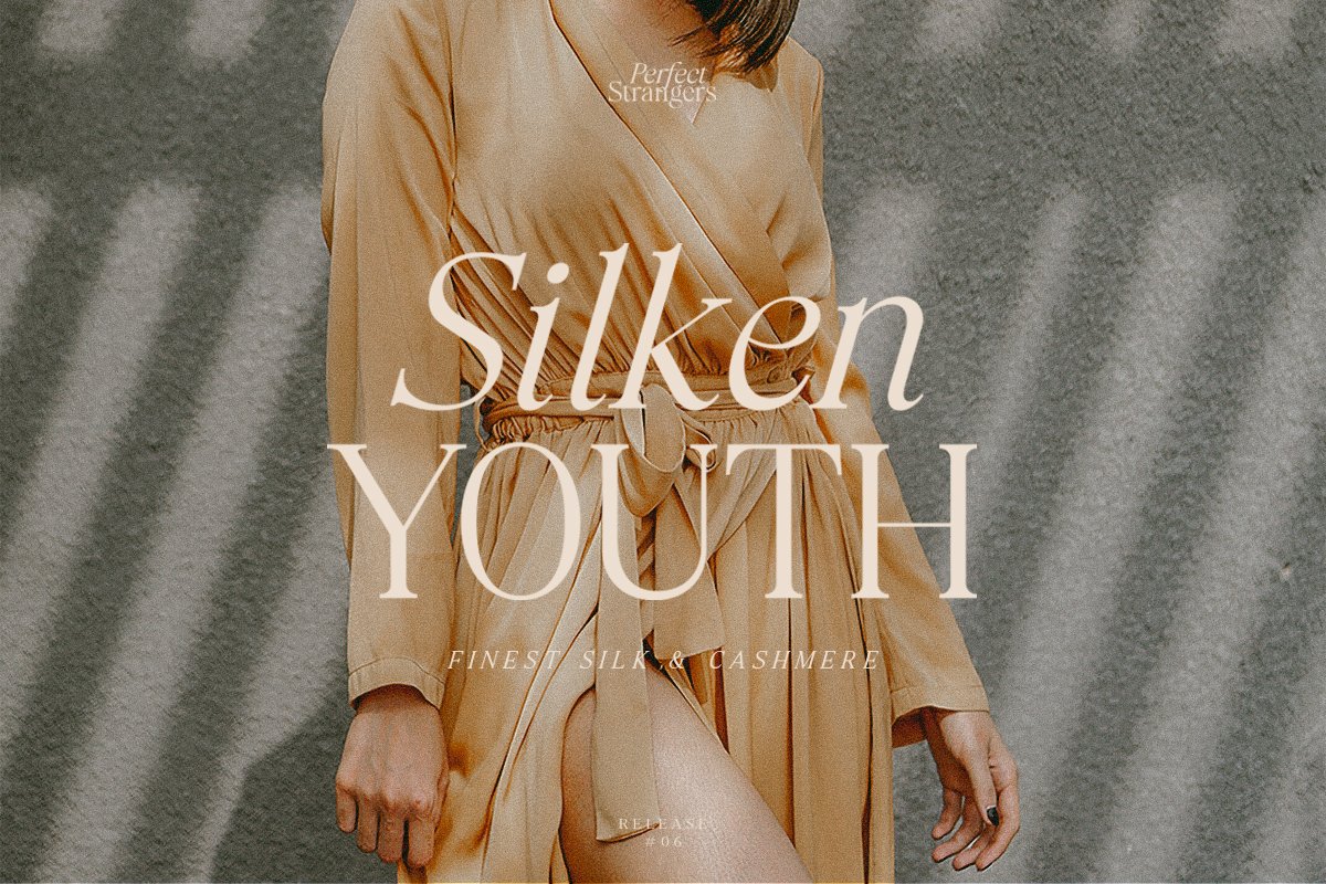 Perfect Strangers I Elegant Serif — image 11