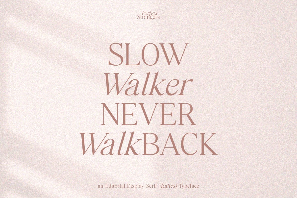 Perfect Strangers I Elegant Serif — image 10
