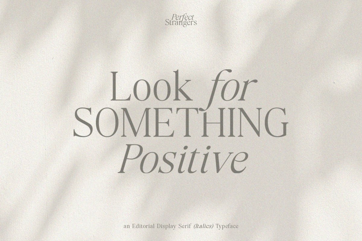 Perfect Strangers I Elegant Serif — image 9