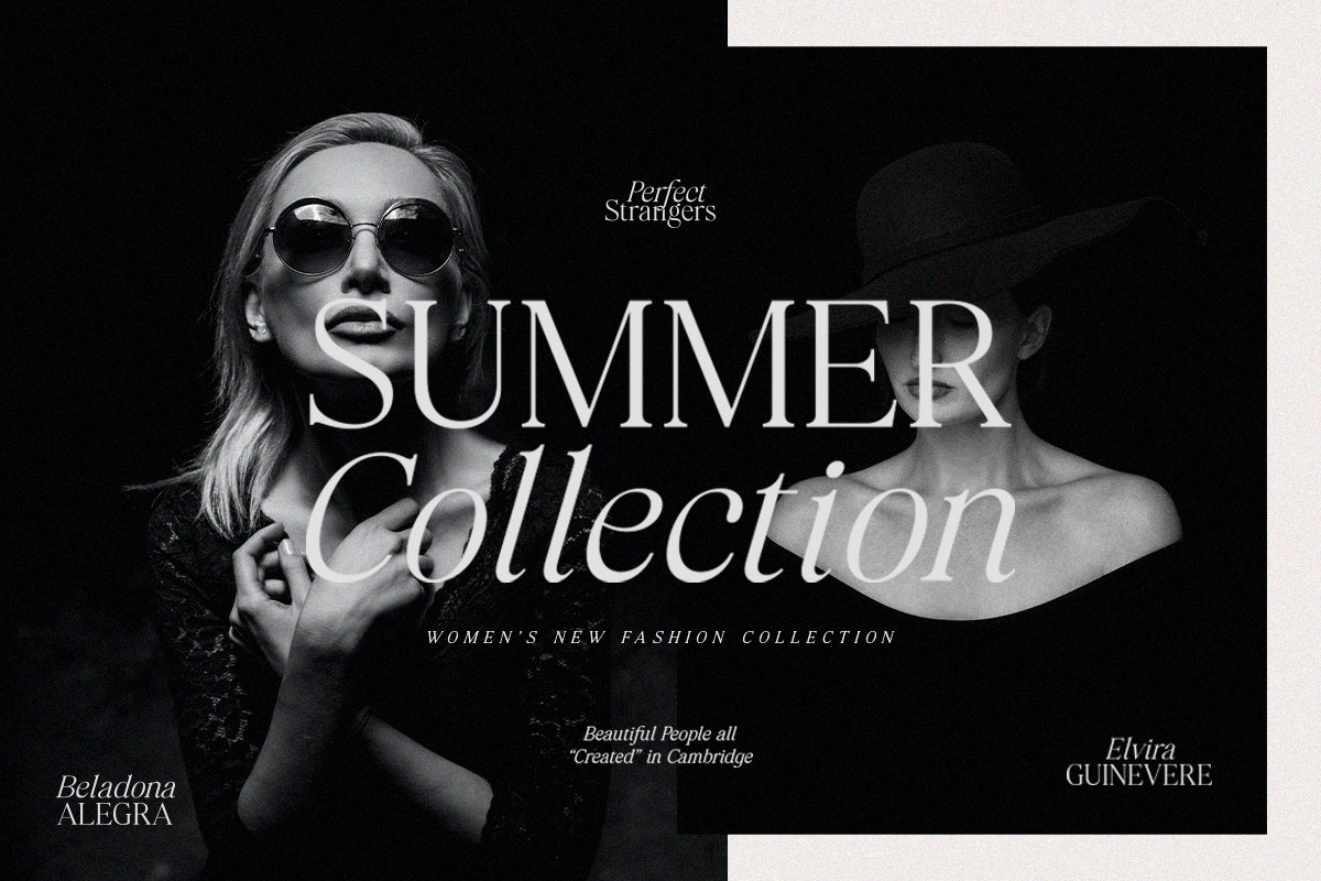 Perfect Strangers I Elegant Serif — image 8