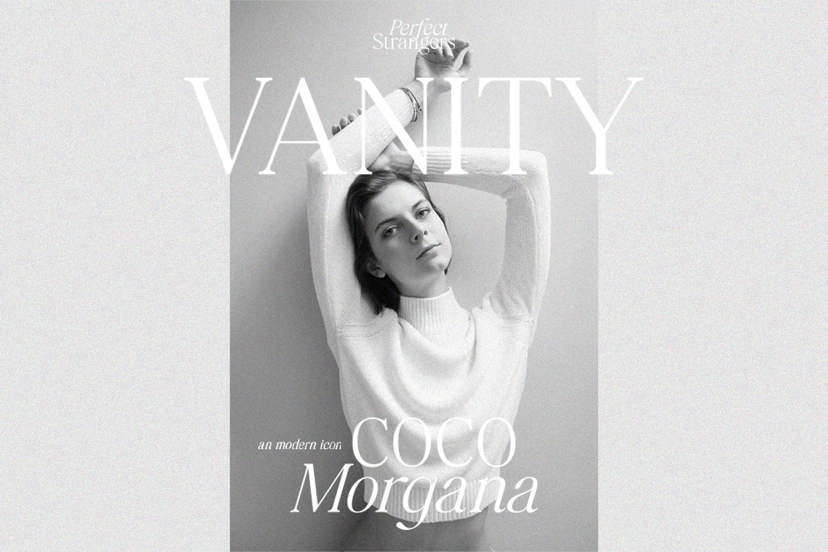 Perfect Strangers I Elegant Serif — image 7