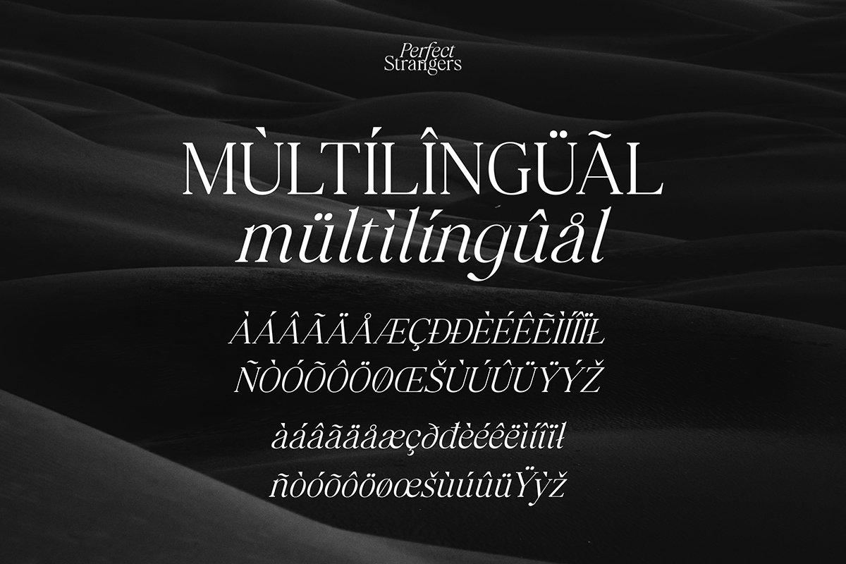 Perfect Strangers I Elegant Serif — image 3