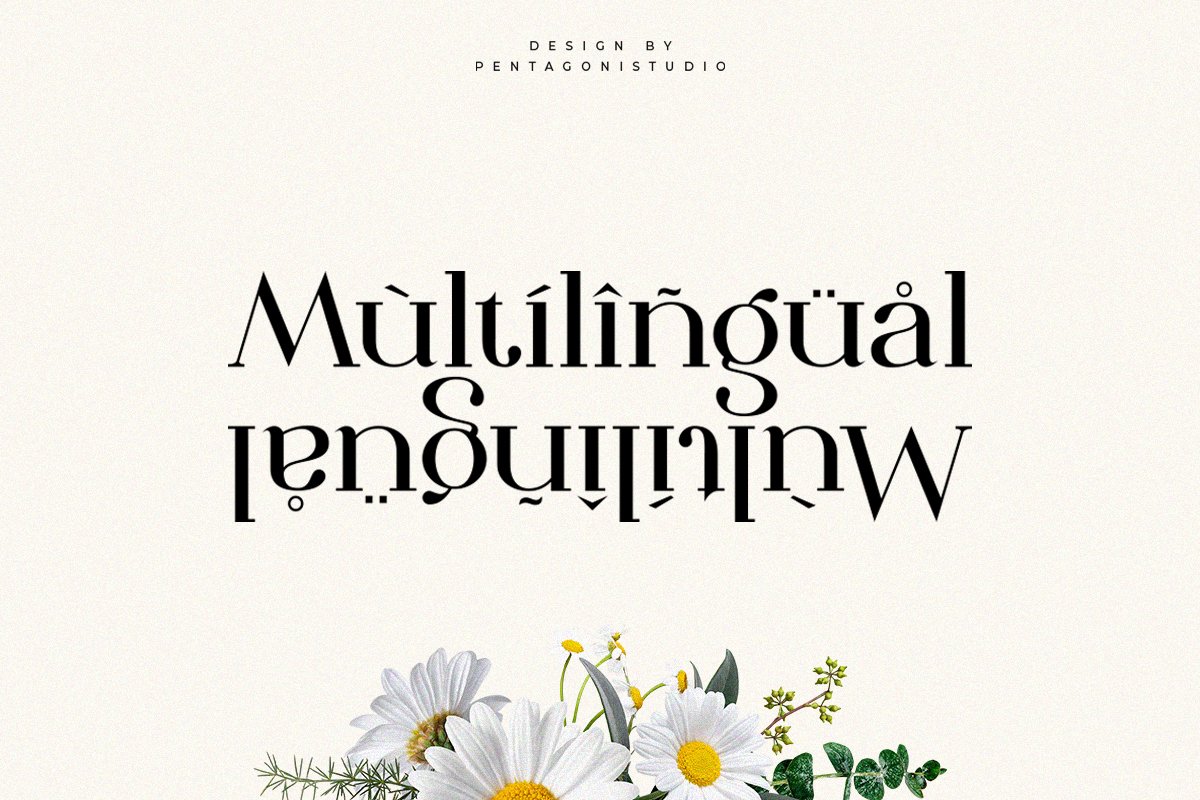 The Dough | Luxury Style Serif Font — image 4