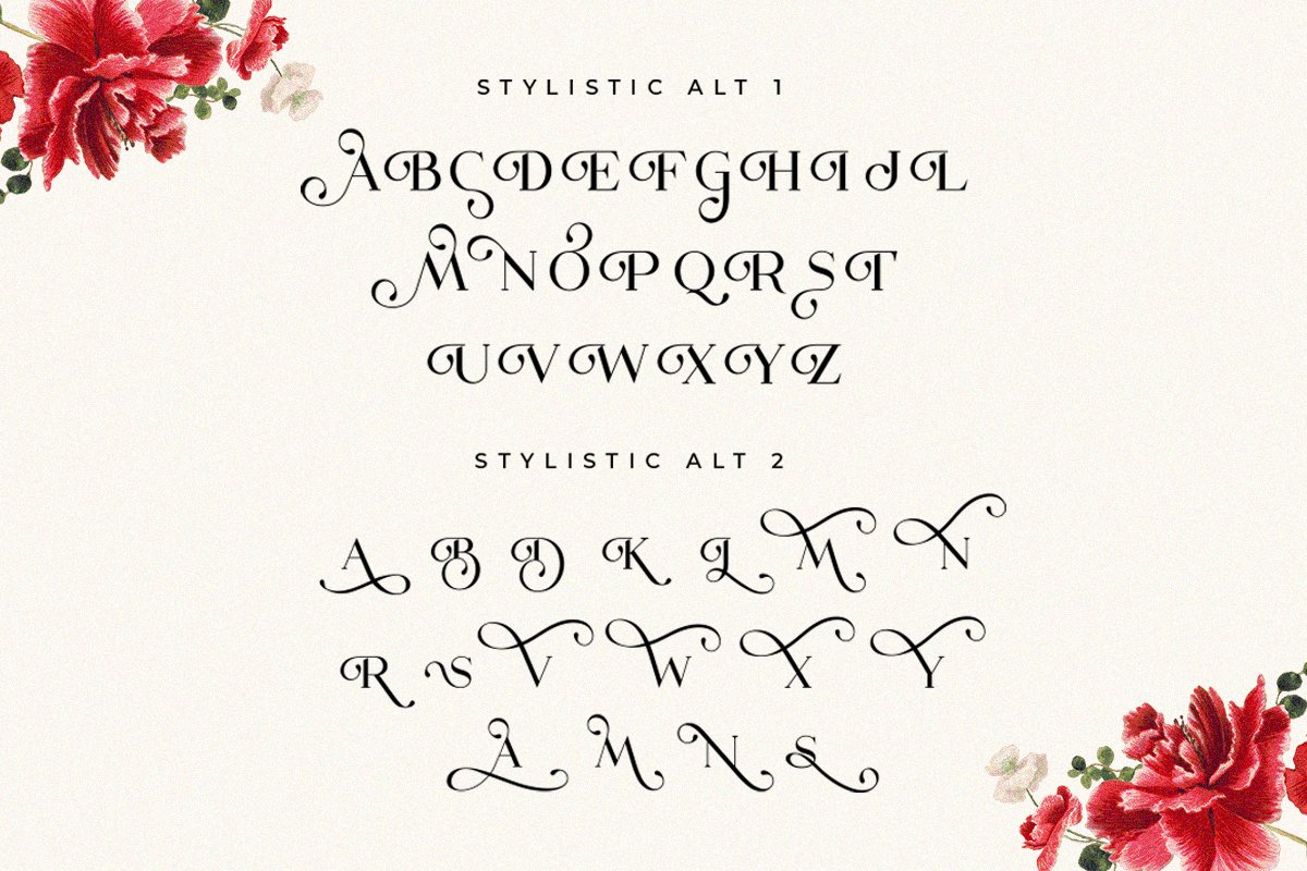 The Dough | Luxury Style Serif Font — image 3