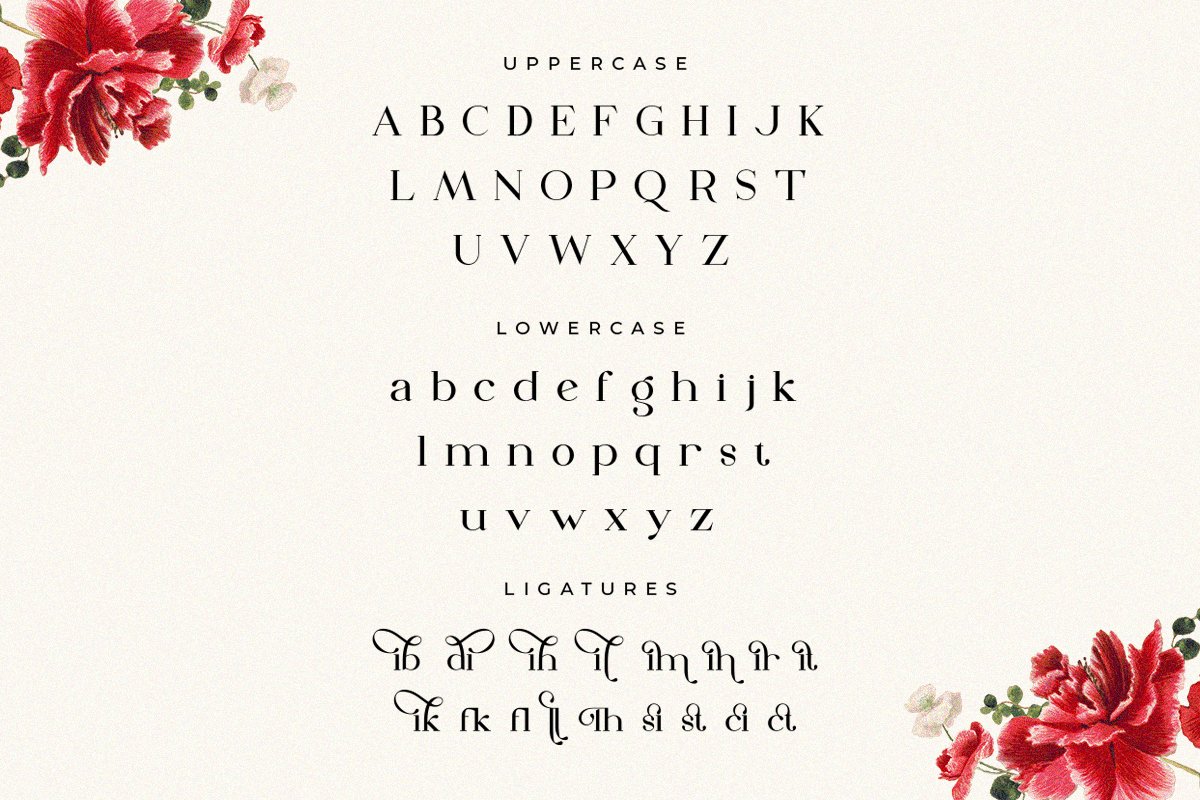 The Dough | Luxury Style Serif Font — image 1