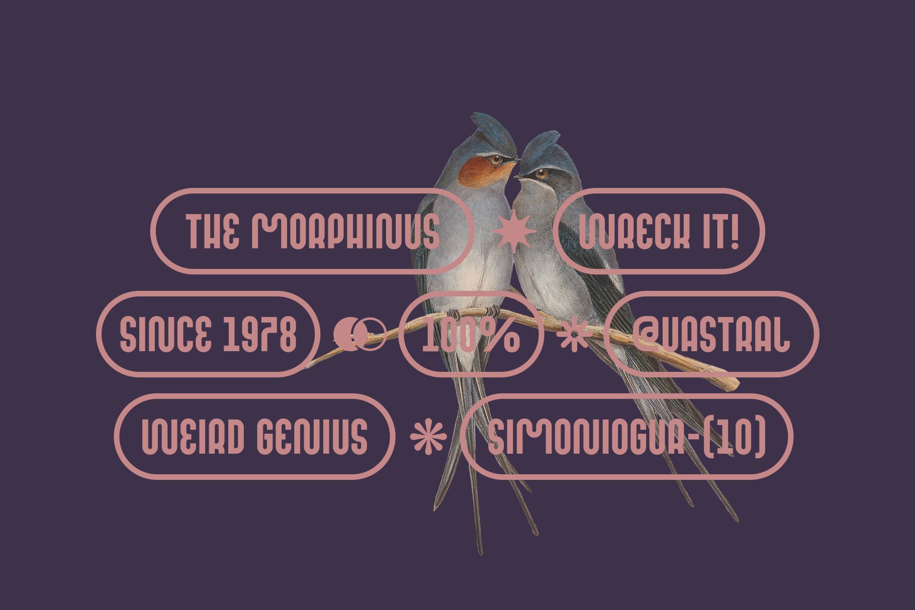 MOQARIN - Rounded & Playful Font — image 2