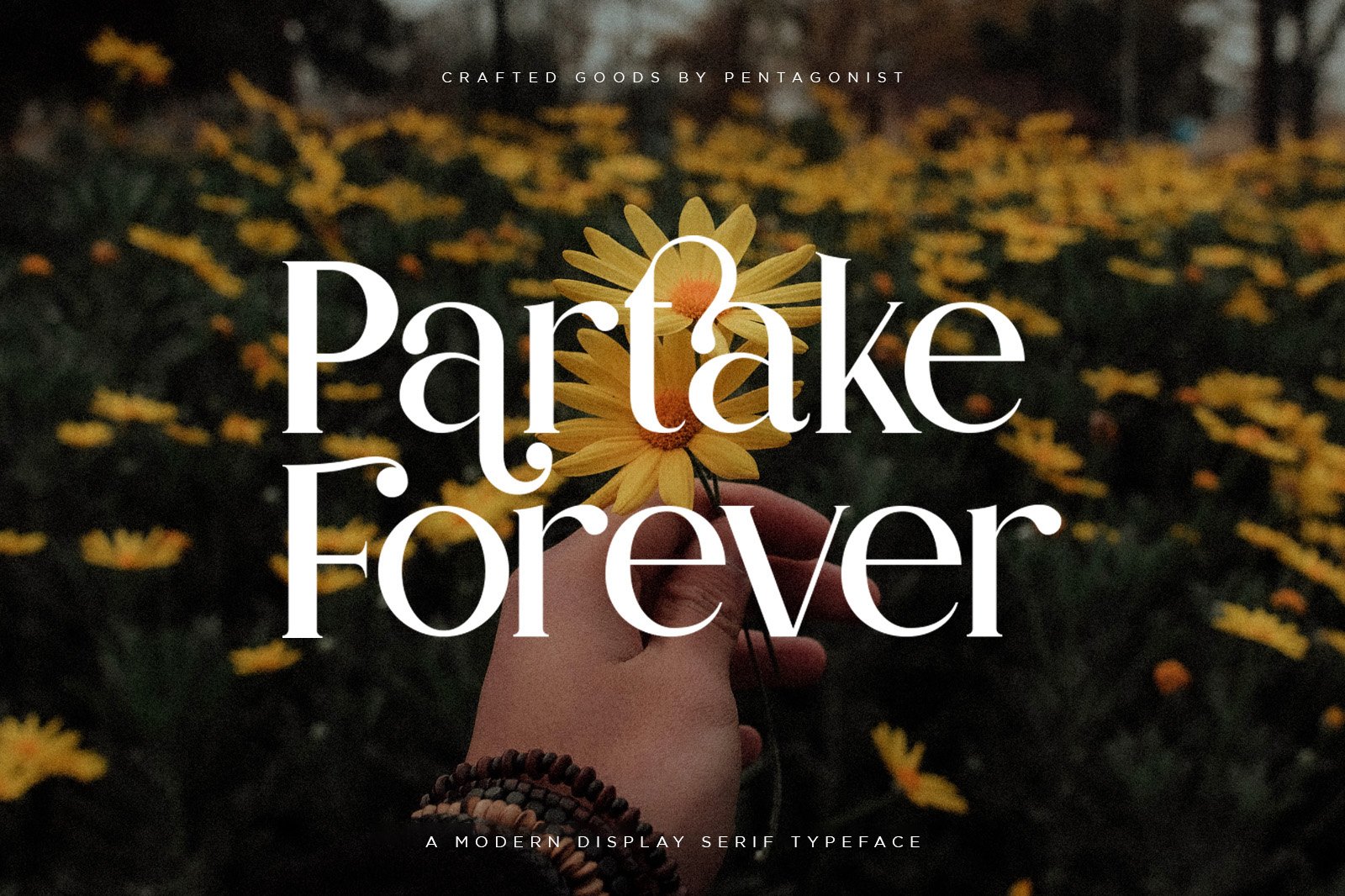 Partake | Modern Serif — image 10