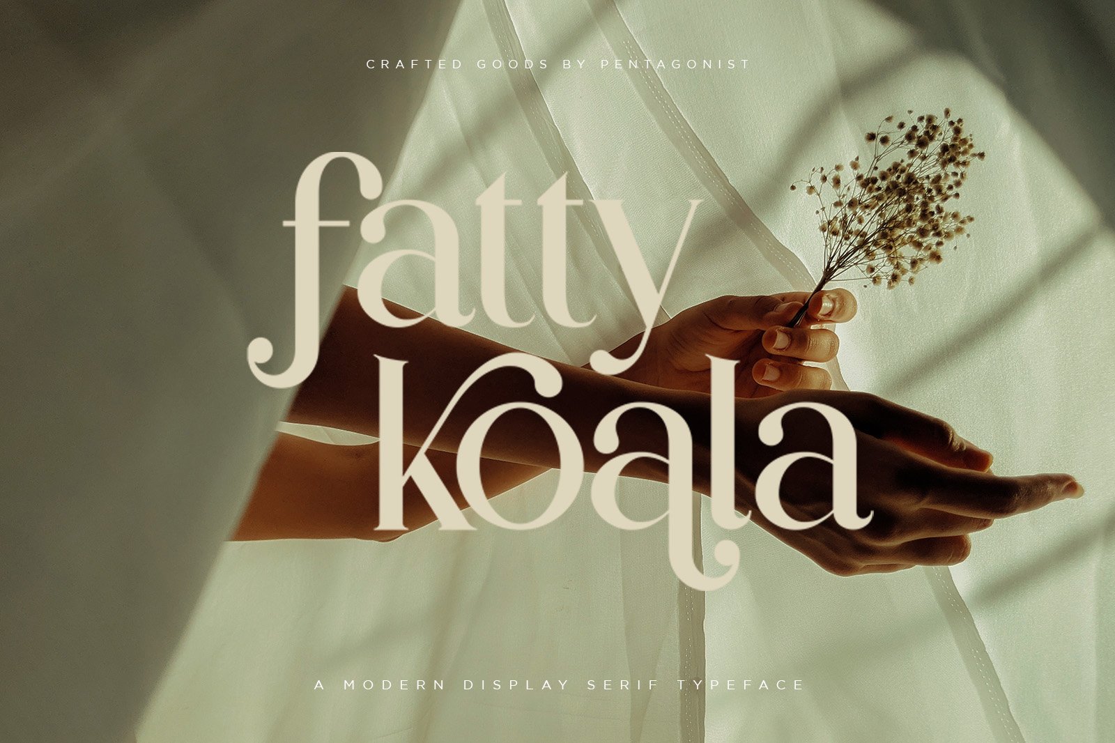 Partake | Modern Serif — image 9