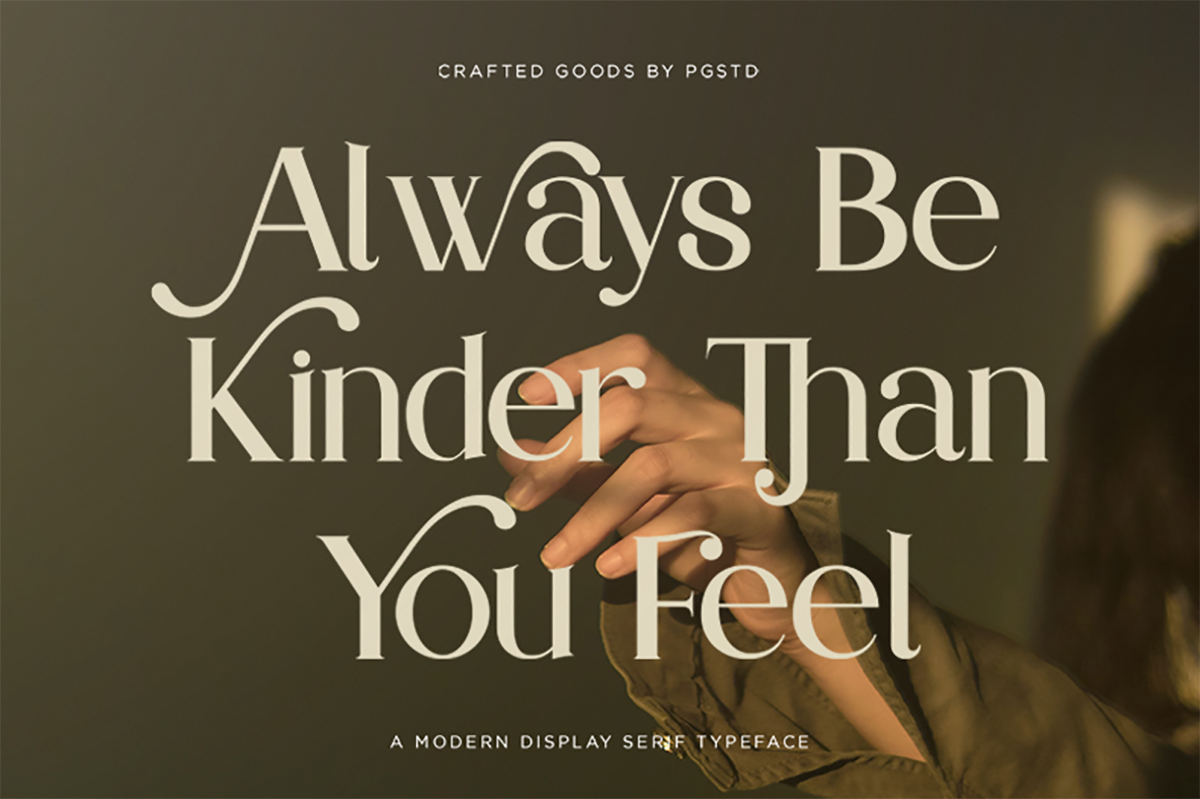 Partake | Modern Serif — image 7