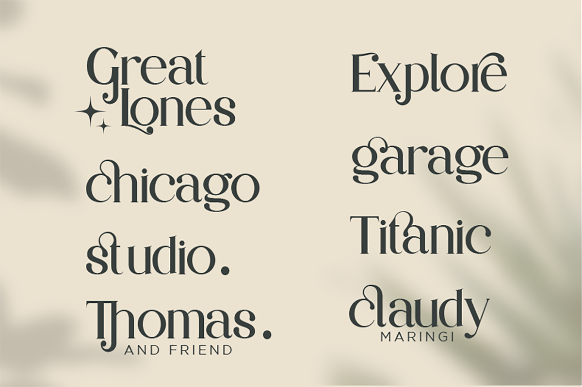 Partake | Modern Serif — image 5
