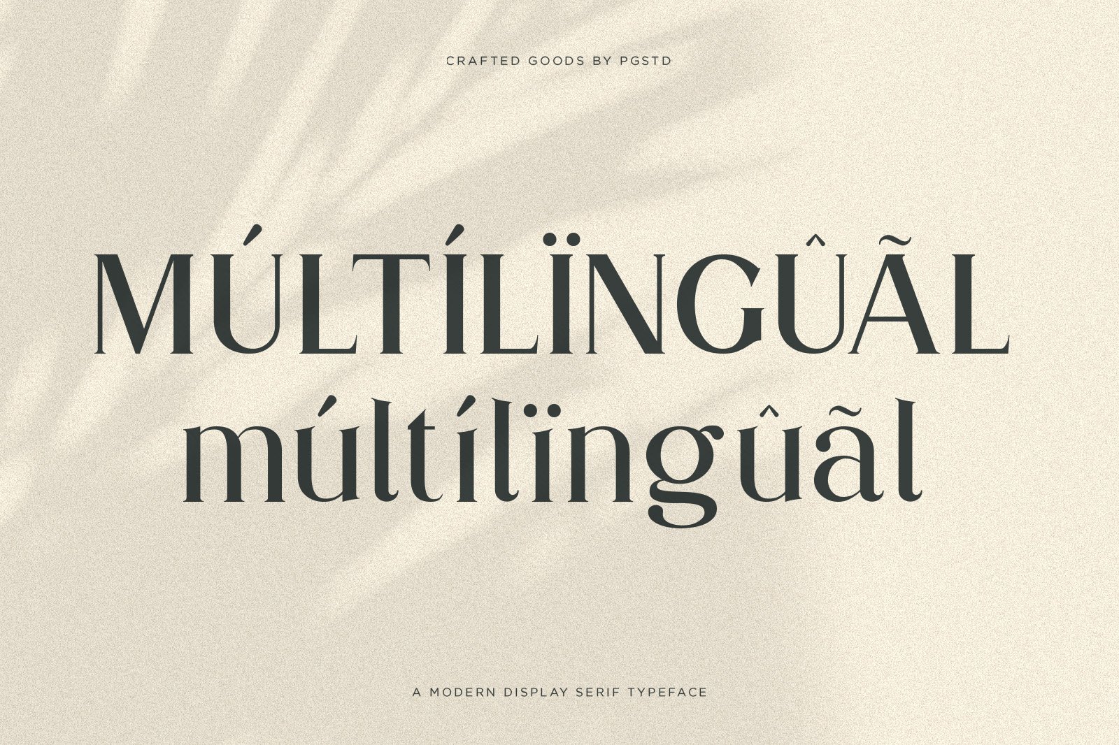 Partake | Modern Serif — image 4