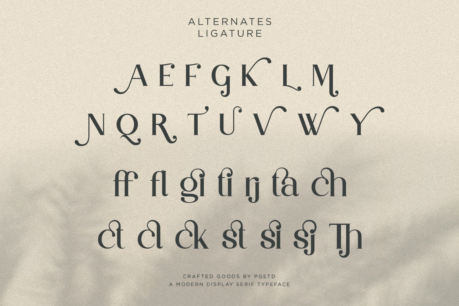 Partake | Modern Serif — image 3