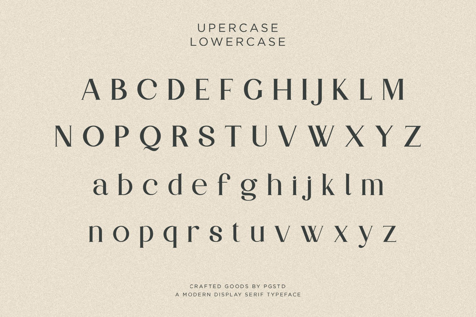 Partake | Modern Serif — image 2