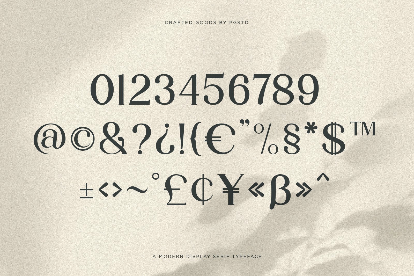 Partake | Modern Serif — image 1