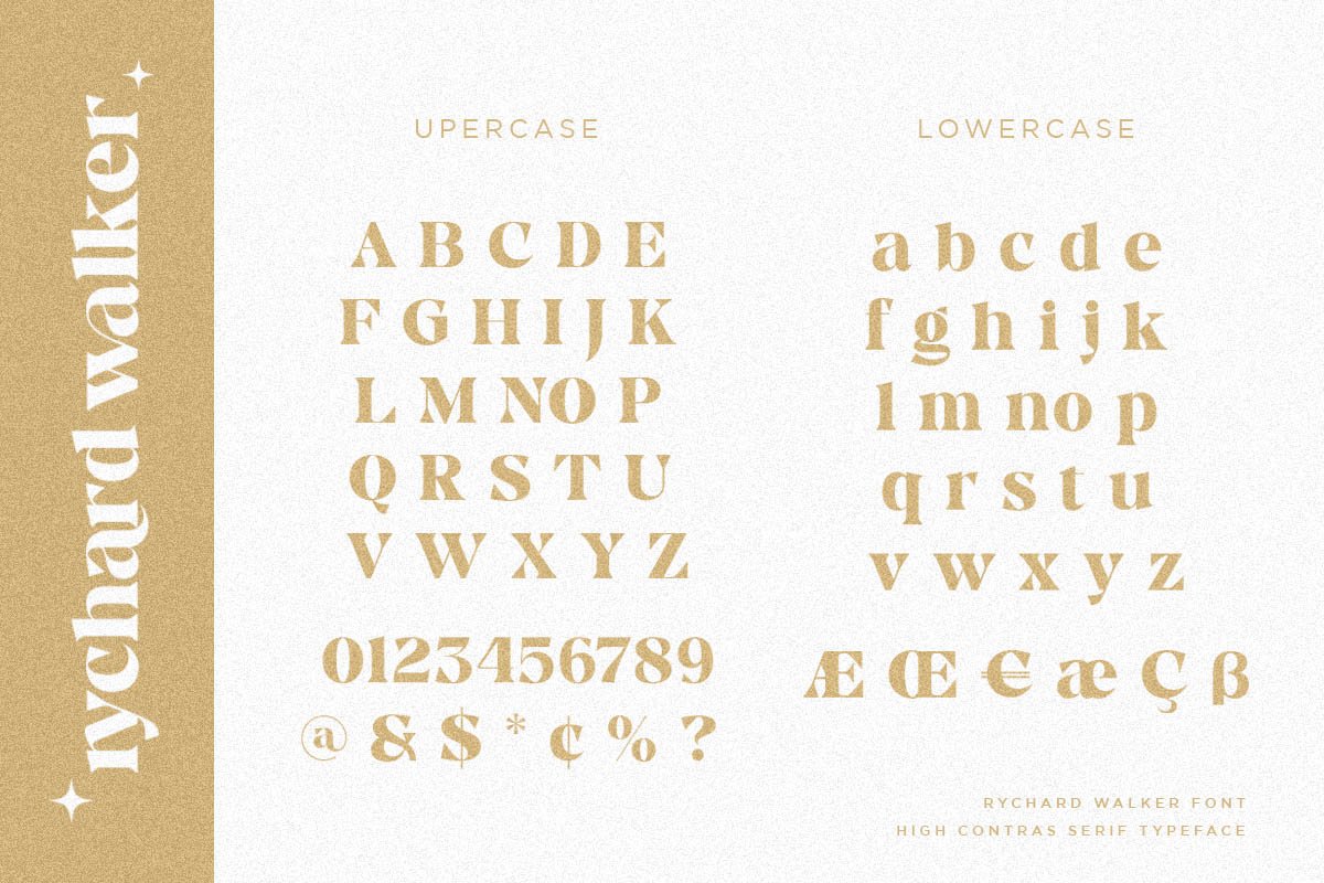 Rychard Walker | Modern Serif Font — image 5
