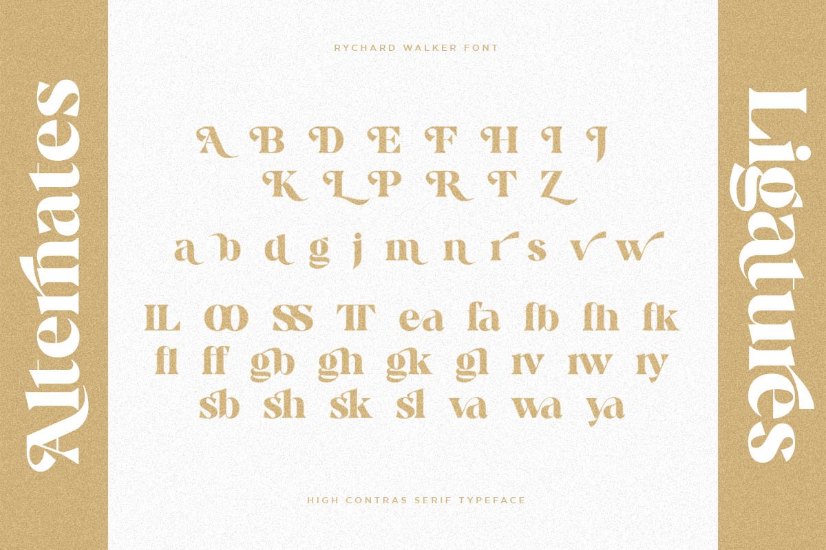 Rychard Walker | Modern Serif Font — image 4