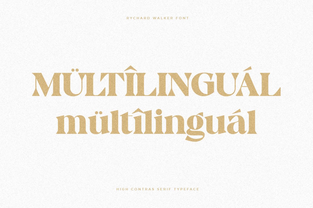 Rychard Walker | Modern Serif Font — image 3