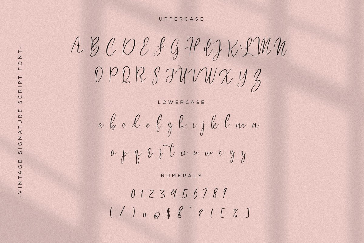 Sweet Bloom | Lovely Script — image 2