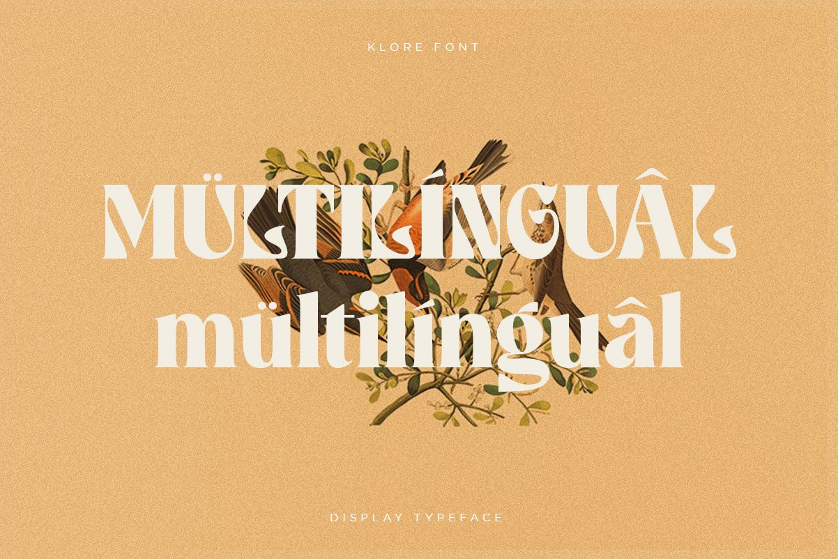 Klore | Vintage Display — image 5