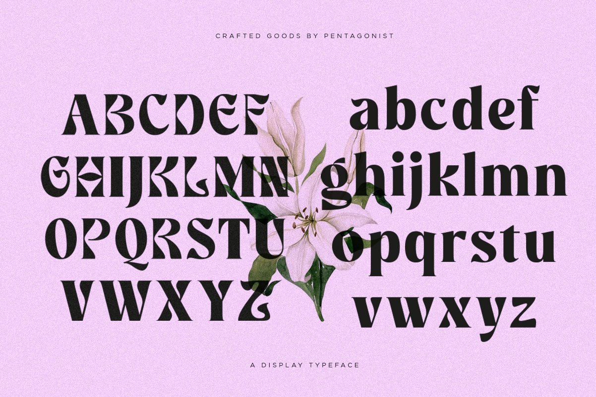 Klore | Vintage Display — image 3