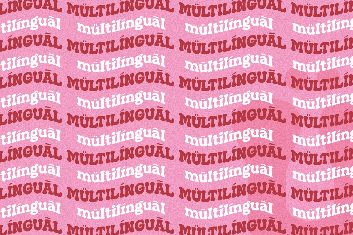 Snugle | Fancy Display — image 5