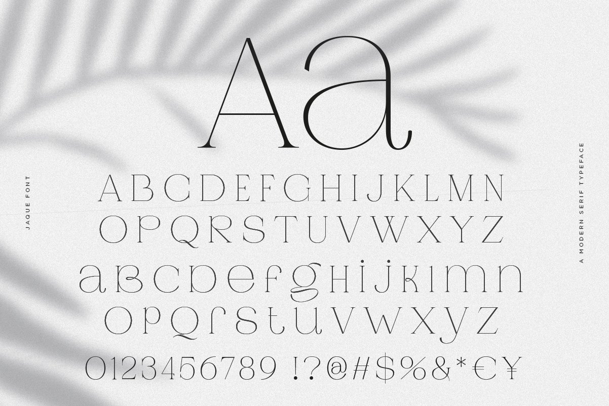 Jaque | Royal Serif — image 3