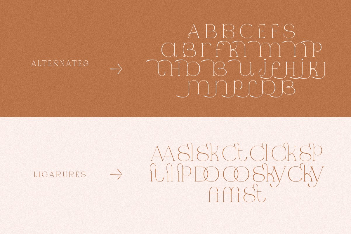 Jaque | Royal Serif — image 2
