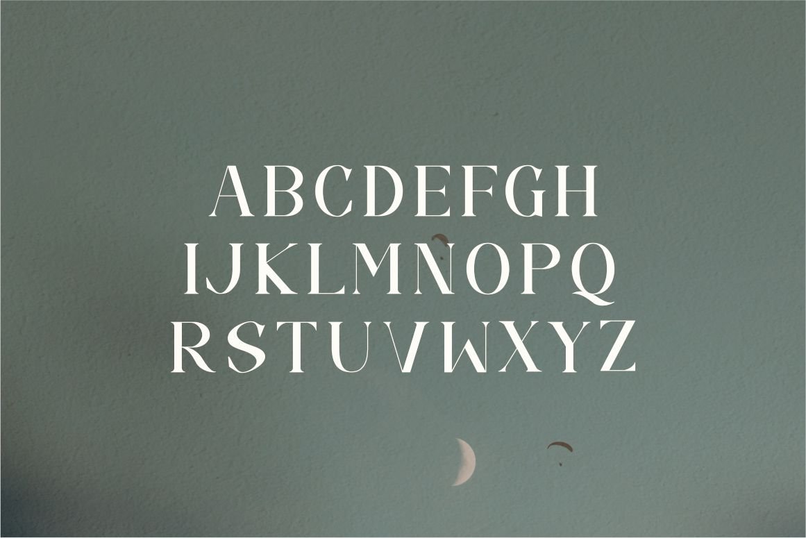 Camelia elegant serif font — image 8