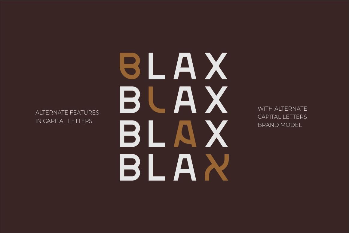Blax - Sans Serif Alternate Font Family — image 2