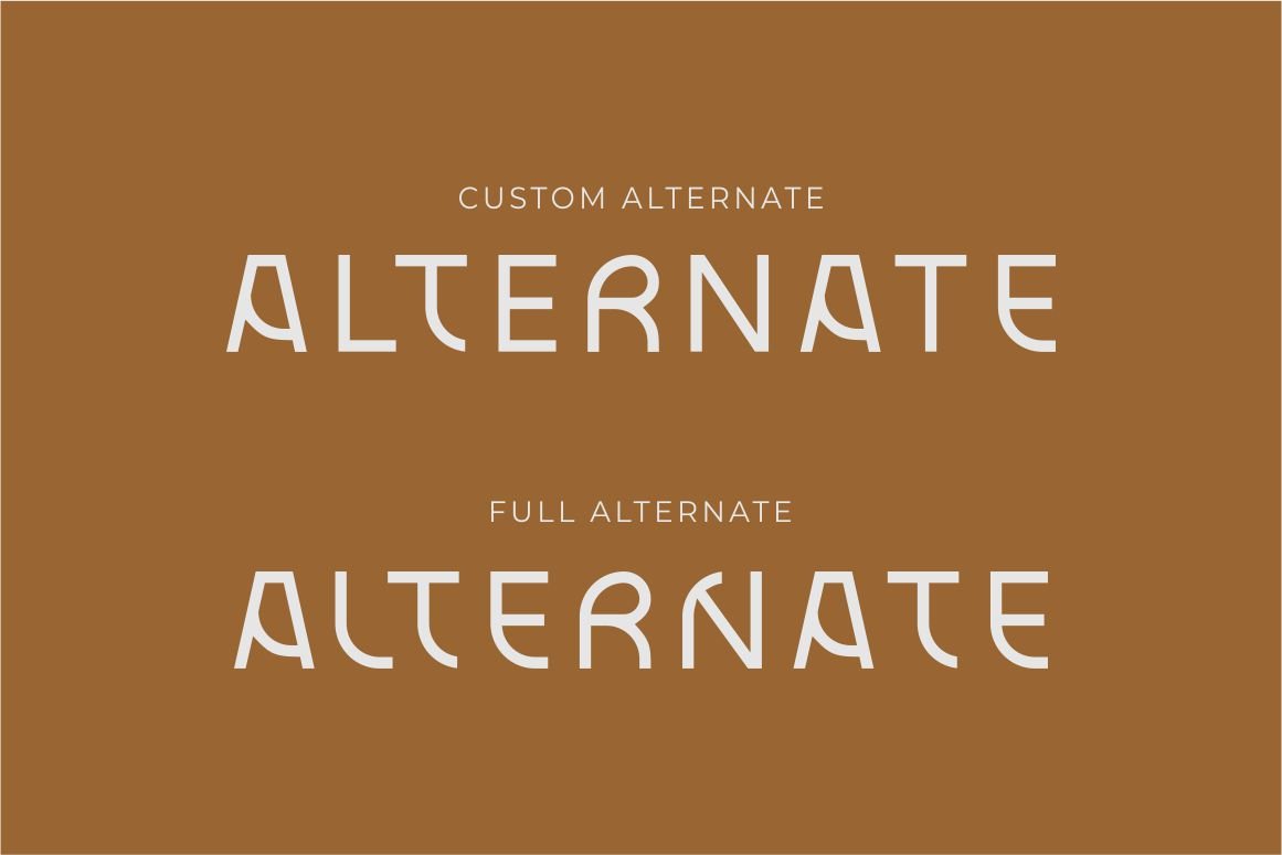 Blax - Sans Serif Alternate Font Family — image 8