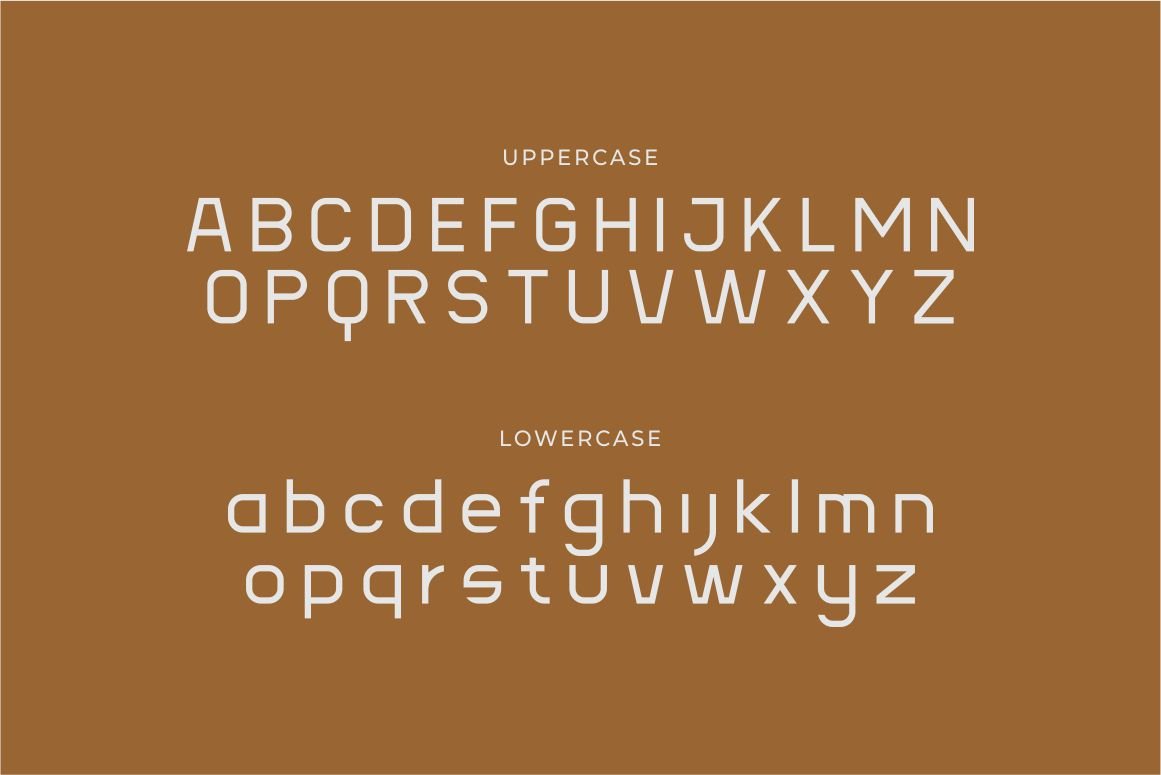 Blax - Sans Serif Alternate Font Family — image 18