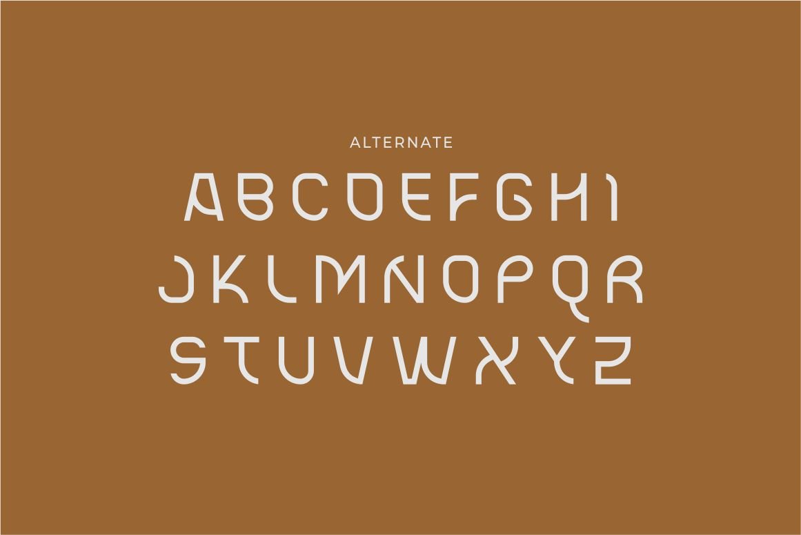 Blax - Sans Serif Alternate Font Family — image 19