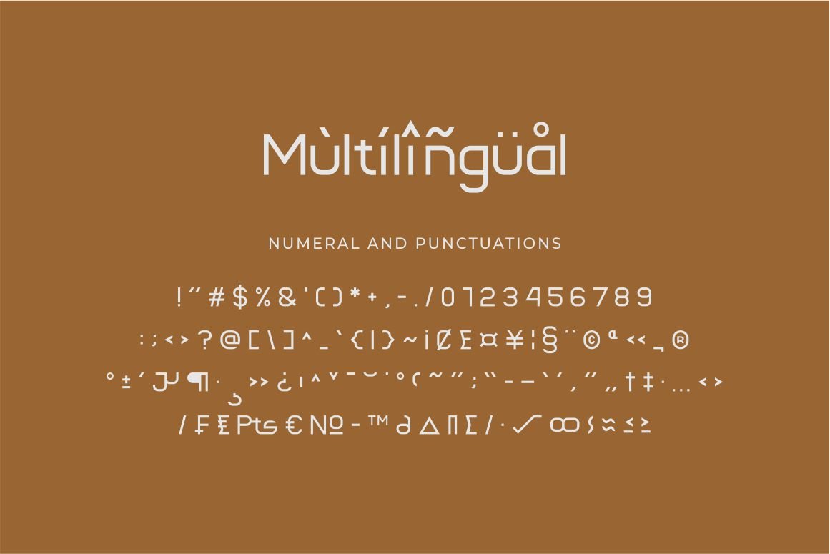 Blax - Sans Serif Alternate Font Family — image 20