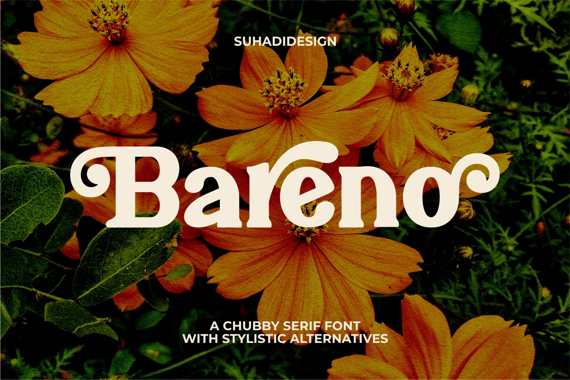 Bareno modern retro serif font — image 1