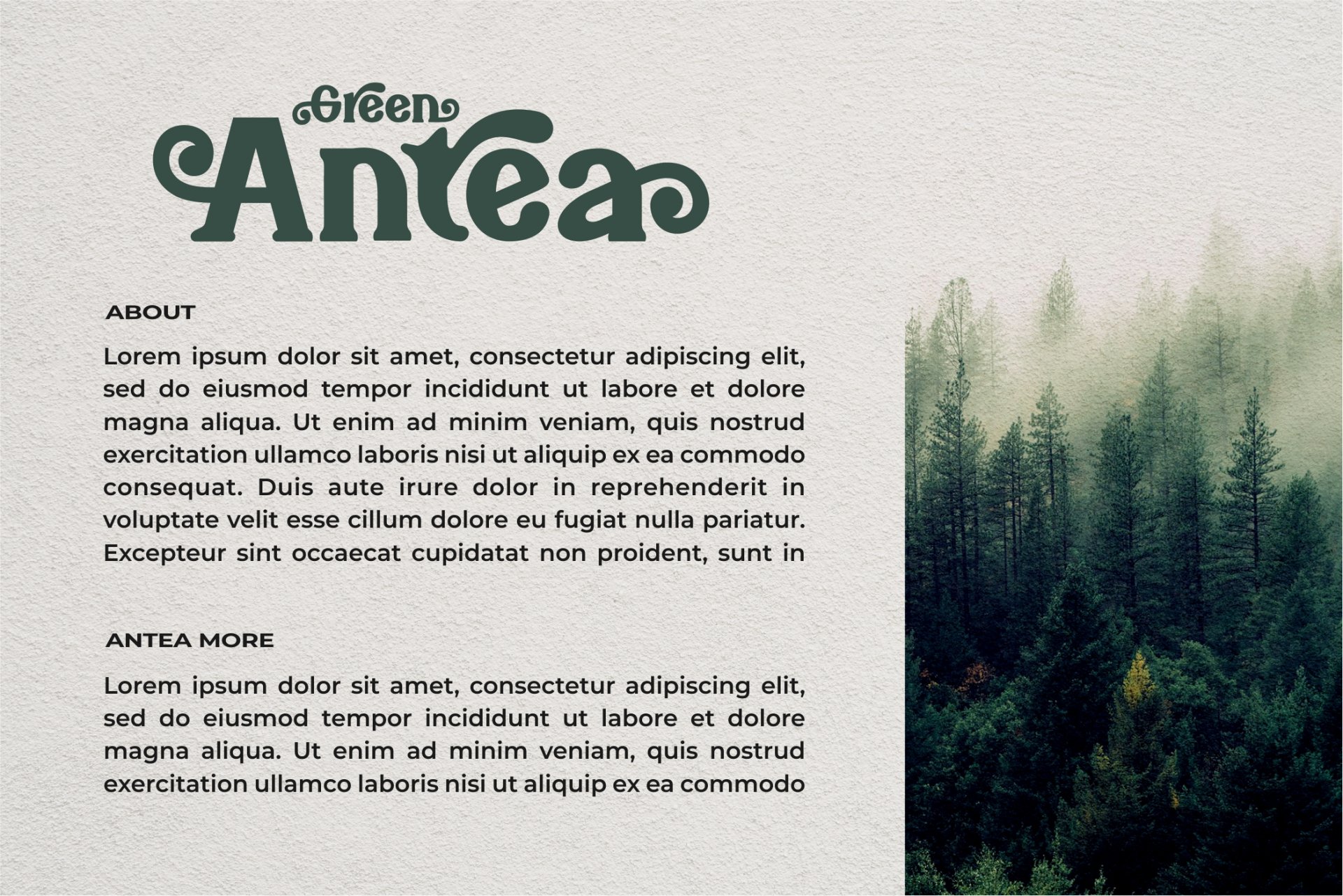 Bareno modern retro serif font — image 6