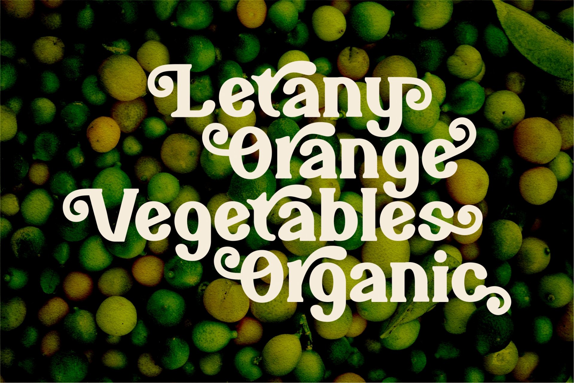 Bareno modern retro serif font — image 8