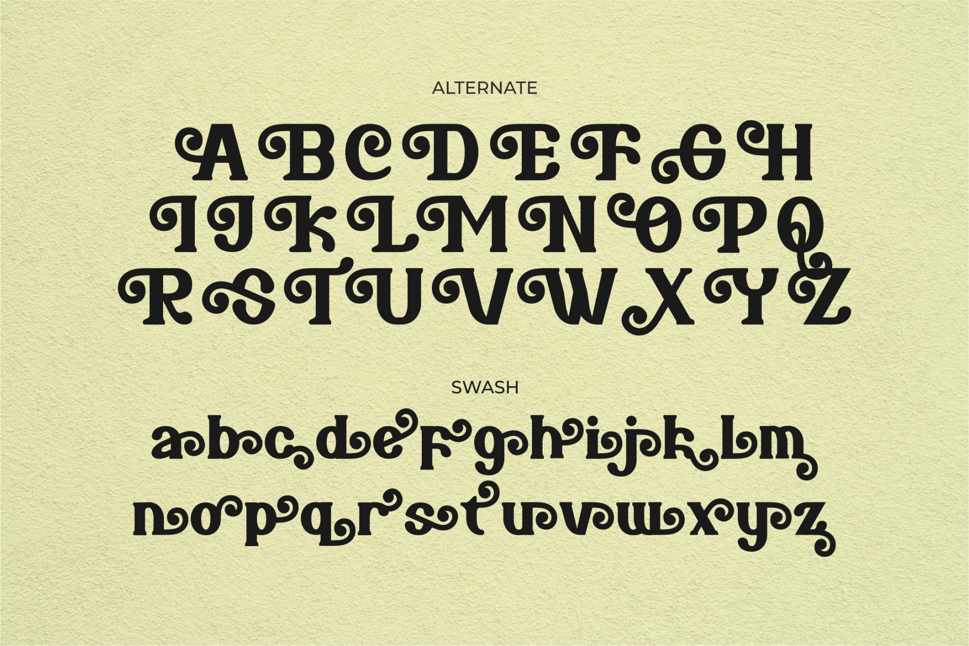 Bareno modern retro serif font — image 11