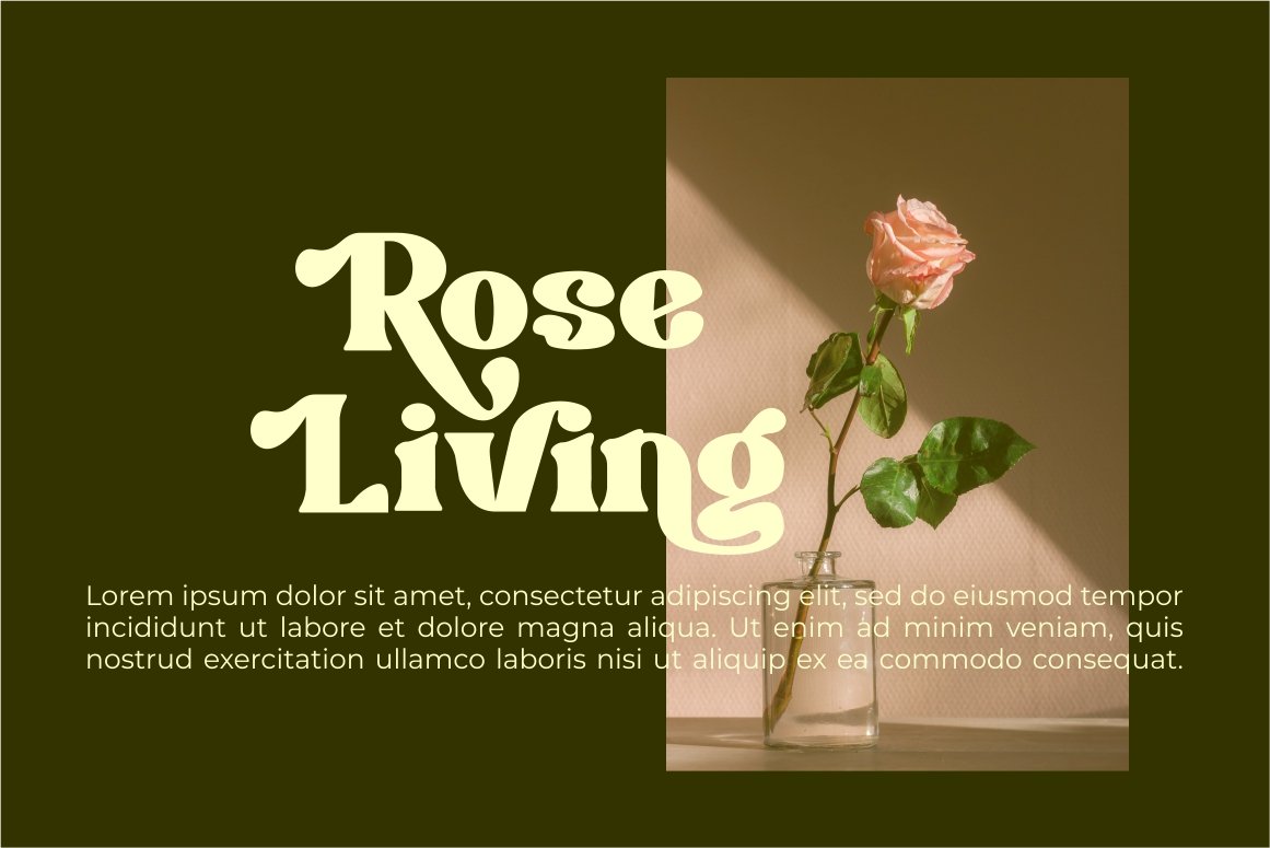 Brigast modern retro typeface font — image 9