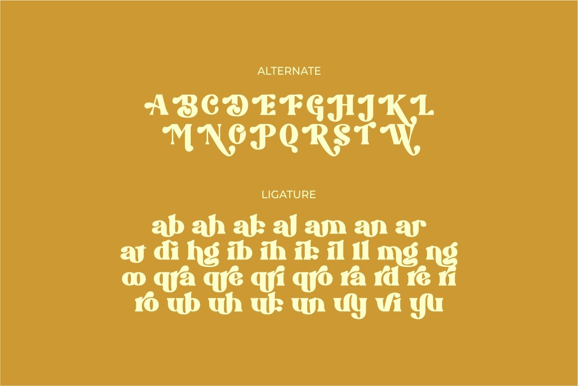 Brigast modern retro typeface font — image 17