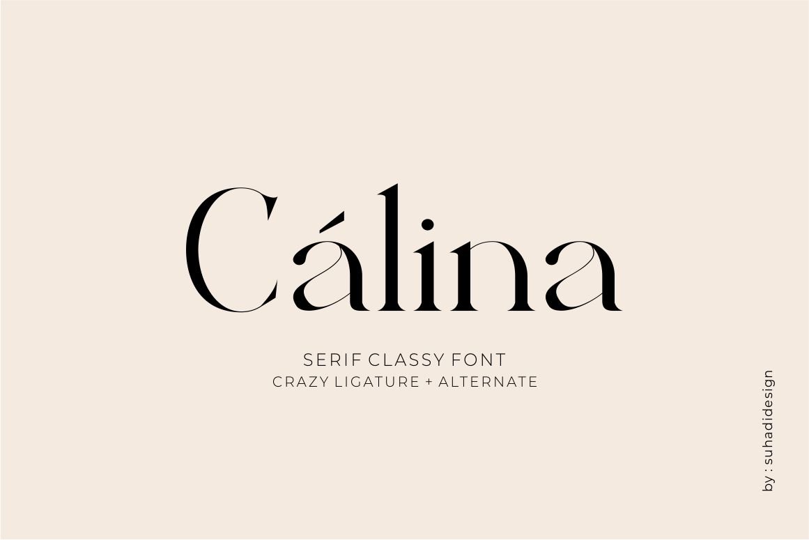 Calina serif classy font — image 1