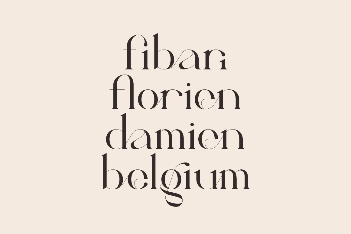 Calina serif classy font — image 9