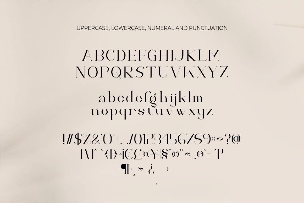Calina serif classy font — image 14