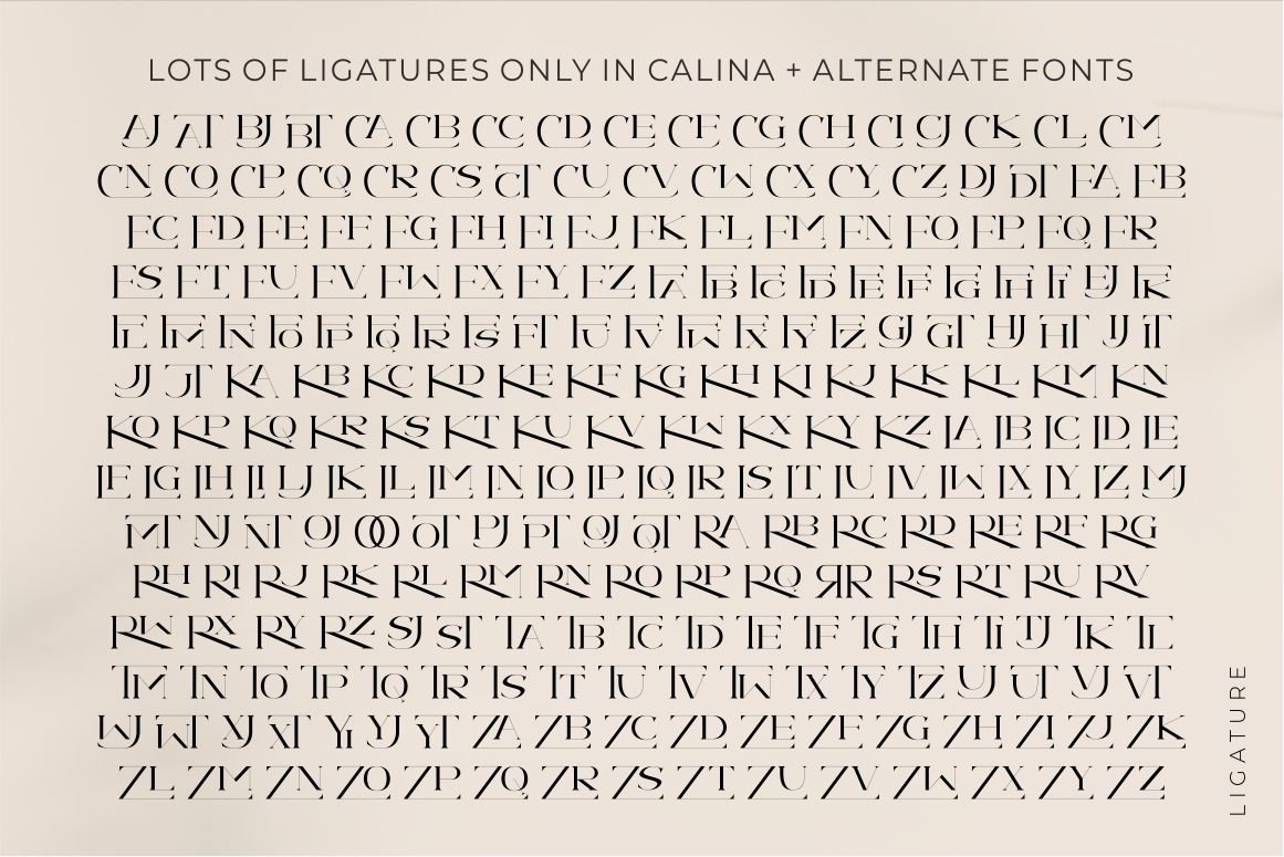 Calina serif classy font — image 15