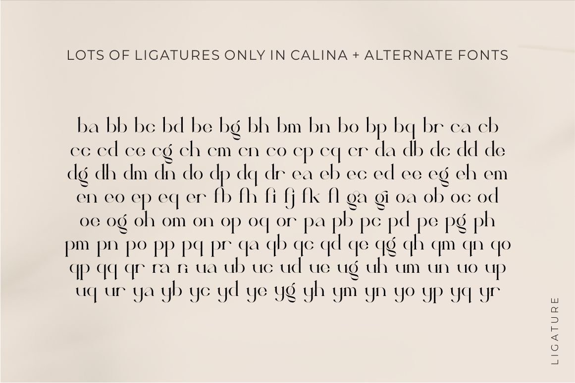 Calina serif classy font — image 16