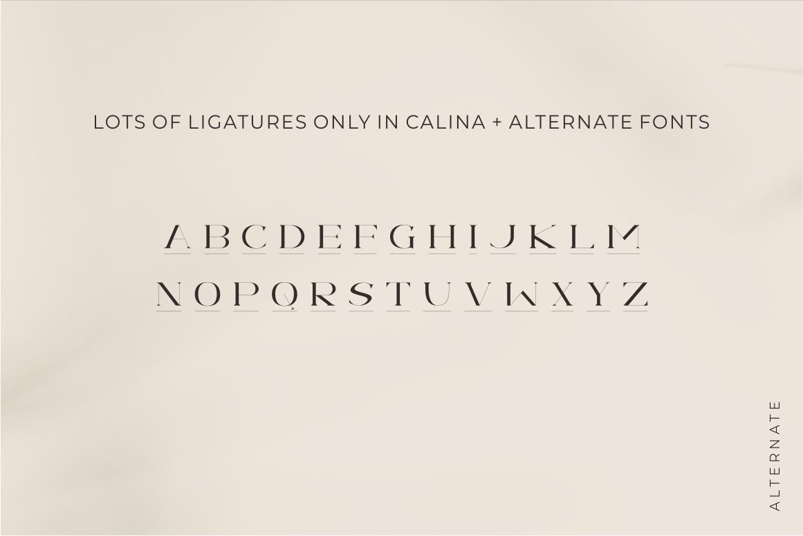 Calina serif classy font — image 17